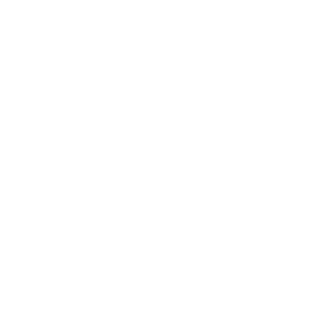 CreditCoin Logo